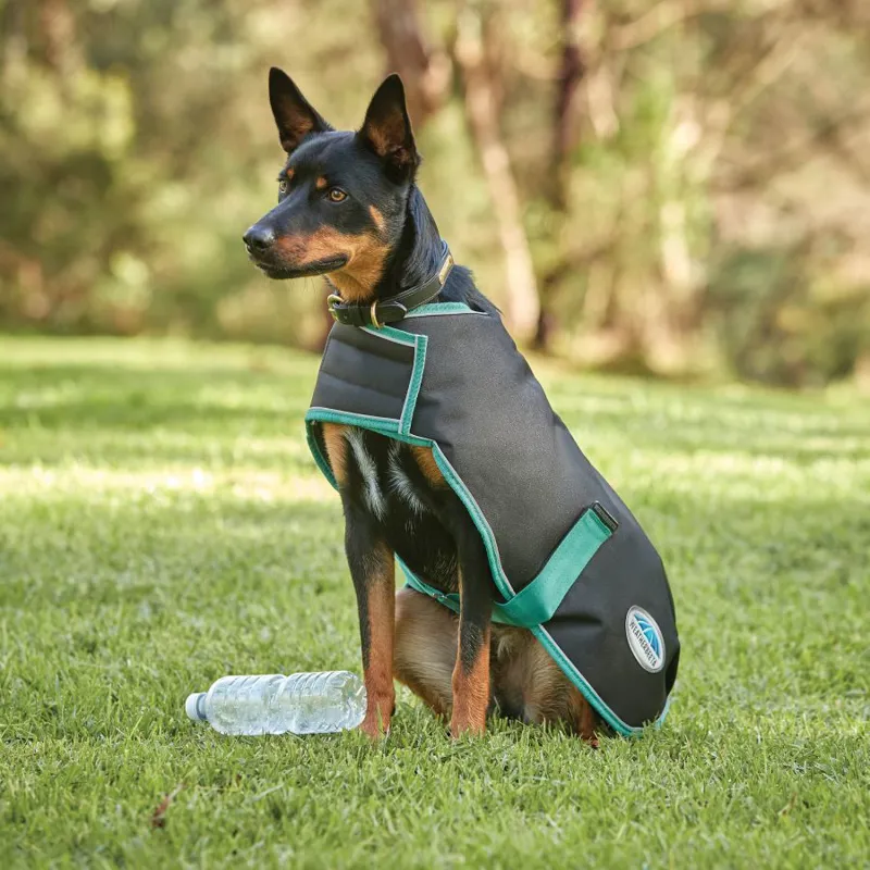 Weatherbeeta Green-Tec 900D Dog Coat Lite Plus Black-BottleGreen-2